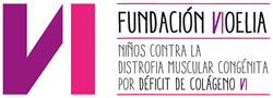 fundacion noelia