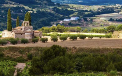 Enoturismo accesible en las bodegas Sumarroca y visita a Sitges